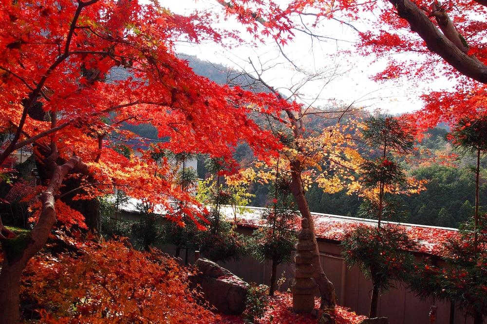 Ryokan Nenrinbo Ξενοδοχείο Κιότο Εξωτερικό φωτογραφία